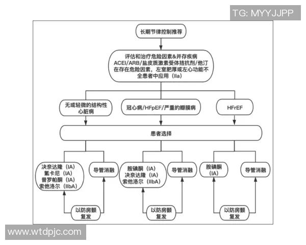 DOTA2战术分析揭示JDG战队的控制能力与策略运用