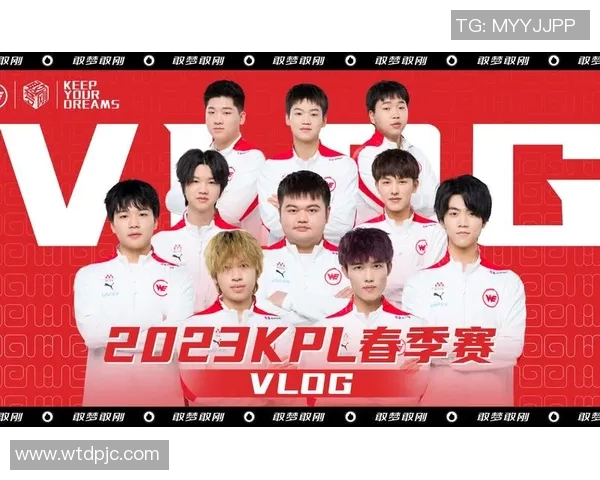 王者荣耀评论WE战队在比赛中的节奏把控与胜负分析