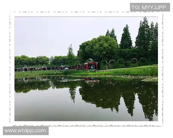 张敏的DOTA2人生深度对话探索游戏背后的热爱与坚持 张敏的DOTA2人生深度对话探索游戏背后的热爱与坚持